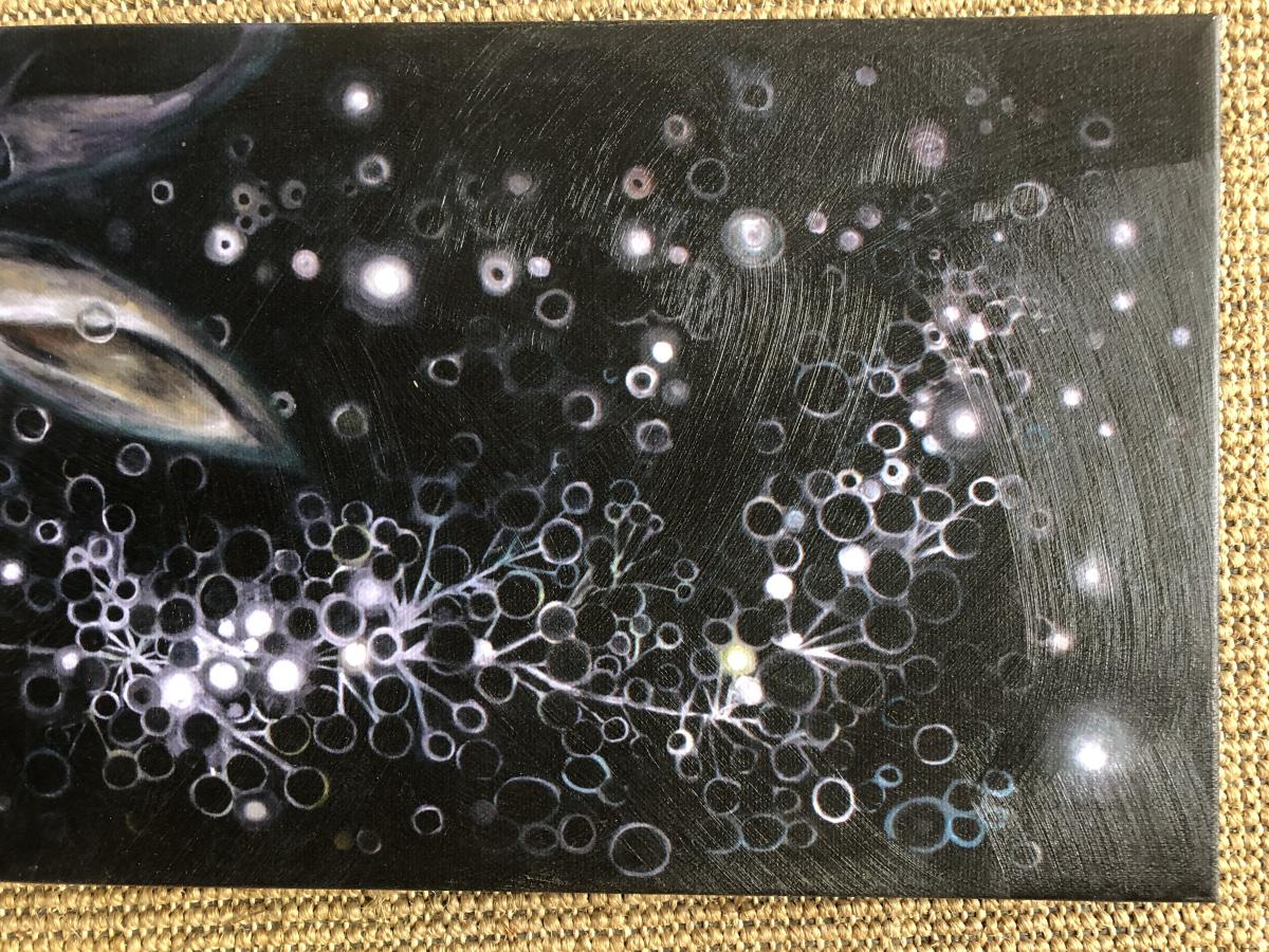 Bunny Mystery ((gallery wrapped stretched canvas print)) picture