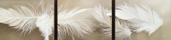 Feathers