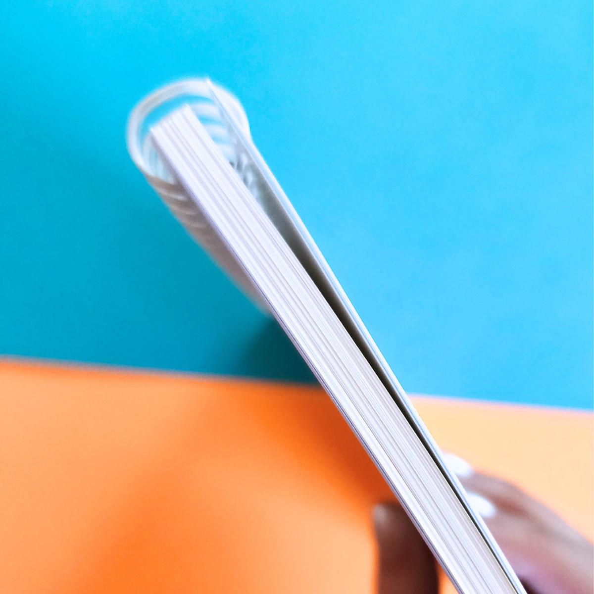 Rainbow Sheep Stickerbook picture