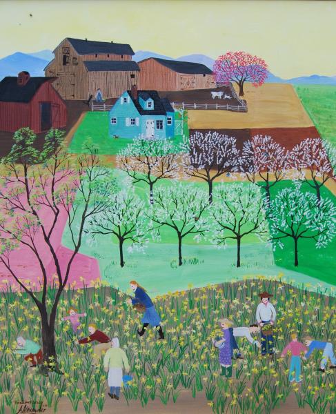Jigsaw puzzle- Healdsburg Dafodils