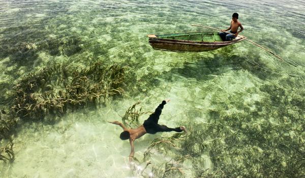 Conchshell Hunters picture