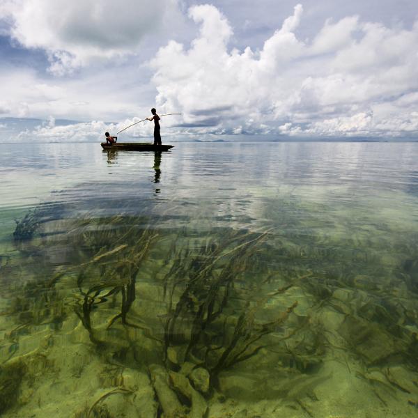 Conchshell Hunters II picture