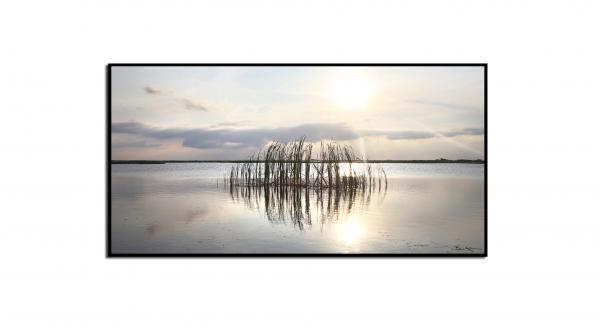 Cattails in the Breeze picture