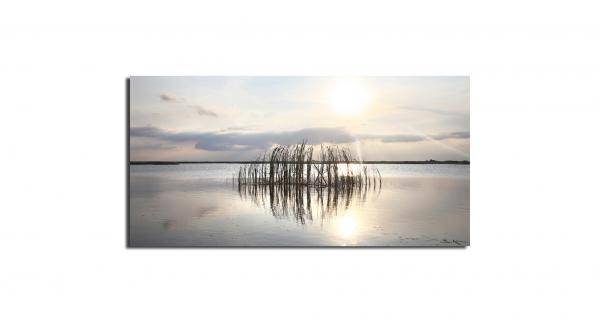 Cattails in the Breeze picture