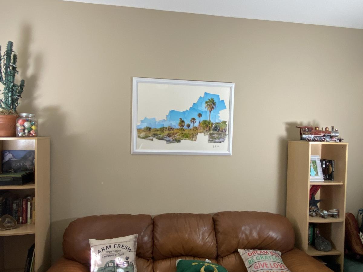 St Pete Beach Sabal palms picture