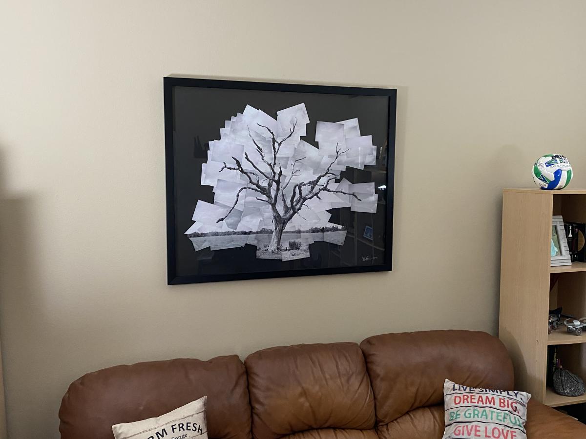 Dead Oak Tree picture