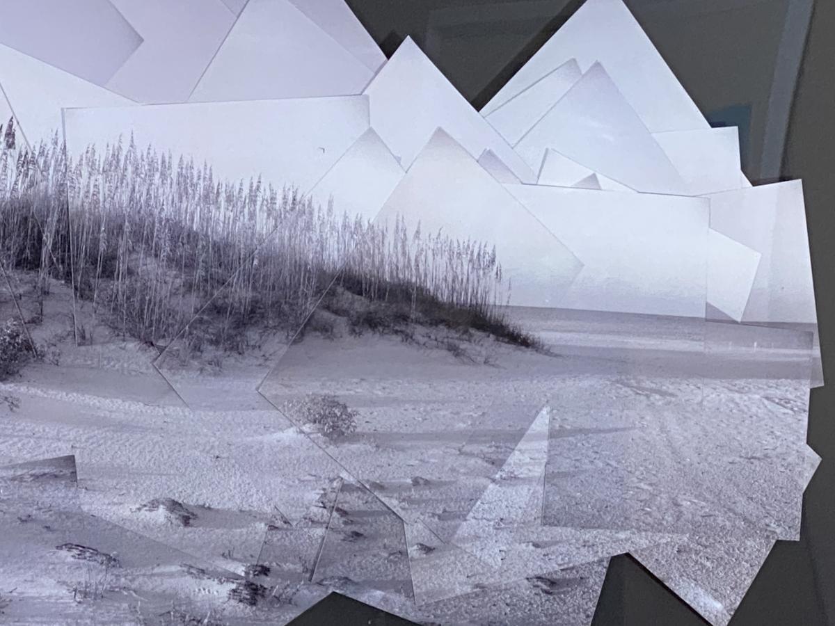 Sand dunes at St Pete Beach picture