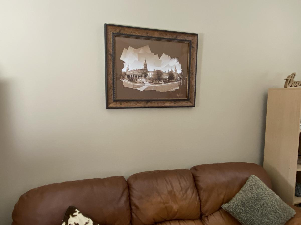 University of Tampa picture