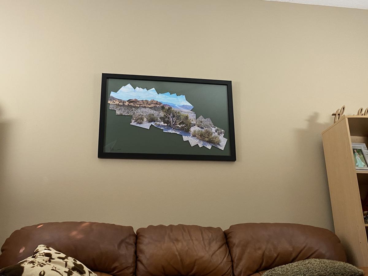 Cacti at Red Rock Canyon NV picture