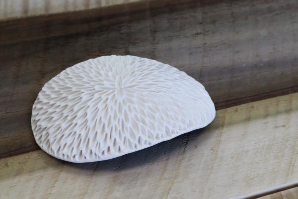 Reef Oval Dish in Shallow Seas picture