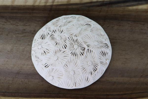 Star Coral Round Dish in Caribbean Cove picture