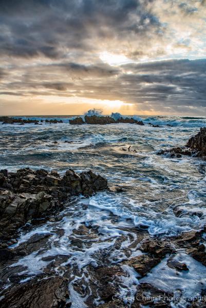 Sea and Sky picture