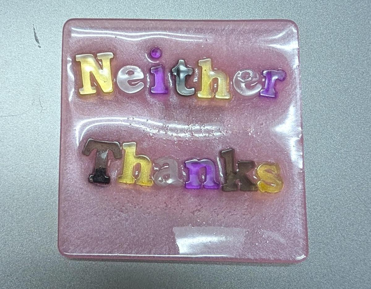 Pride Magnets | Humorous | Handmade picture