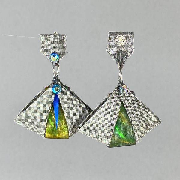 Earrings picture