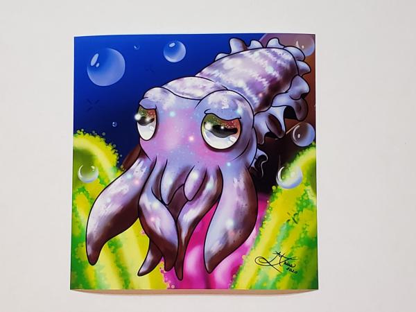 Cuttlefish 5x7 Art Print picture