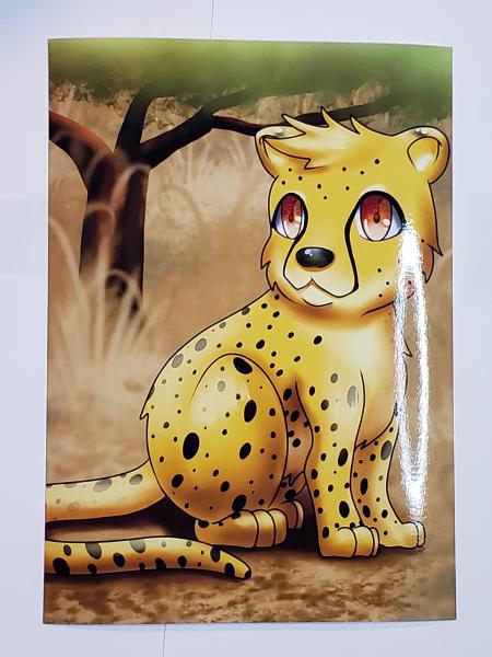 Cheetah 5x7 Art Print picture