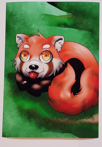 Red Panda 5x7 Art Print picture