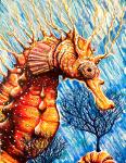 The Seahorse King