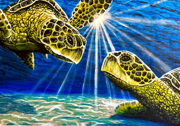 Two Sea Turtles in the Ocean picture