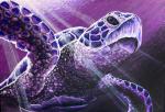 Purple Sea Turtle