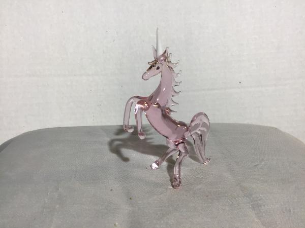 Unicorn-pink rearing