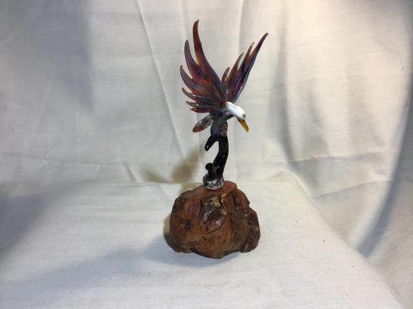 Eagle w/branch on Manzanita Burl wood