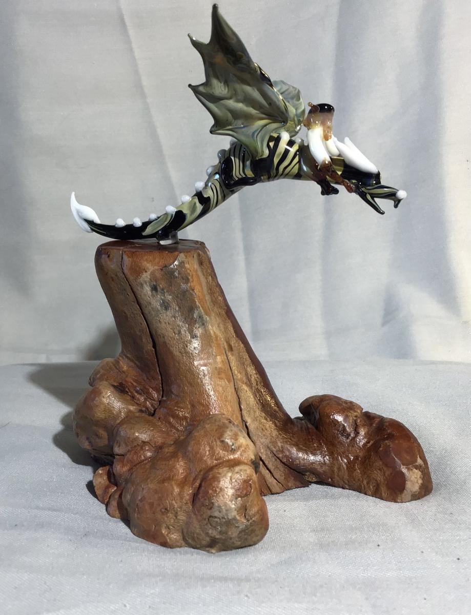 Dragon Rider picture