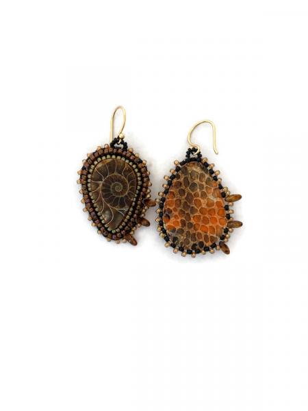 Ammonite Fossil Earrings picture