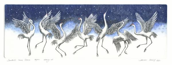 Sandhill Cranes Dance.