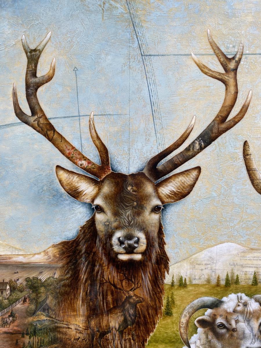 Where we belong picture