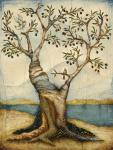 The Olive Tree