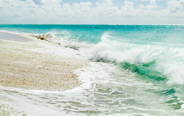 Shorebreak picture