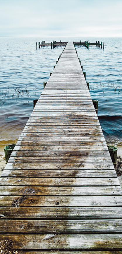 The Dock