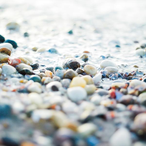 Pebbles and shells I