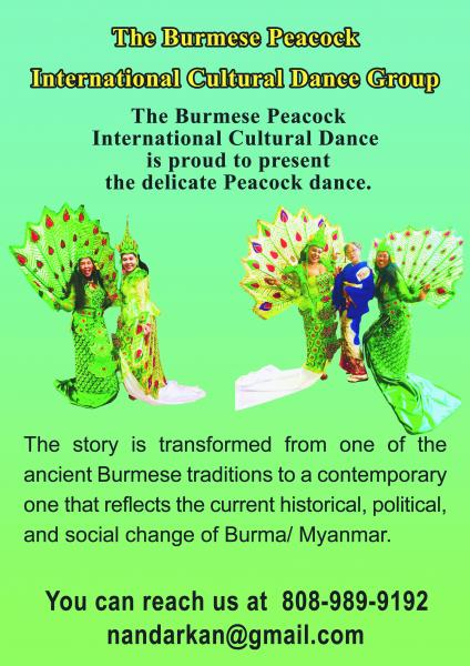 Burmese Peacock International