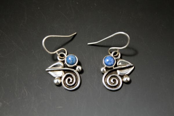 Earrings picture