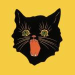 Black Cat Vintage Thrift