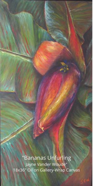 "Bananas Unfurling" 18x36" Oil Painting on Gallery-Wrap Canvas. Framed.