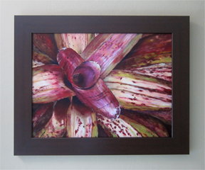 "Bromeliad Diversity & Unity" Limited-Edition Giclee on Canvas picture