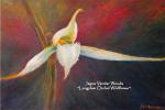 "Longclaw Orchid" Original 36x24" Oil Painting on Linen.  Framed.