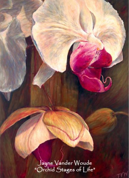 "Orchid Stages of Life" Giclee picture