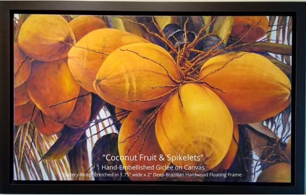 Coconut Fruit & Spikelets Giclee on Canvas framed in Brazilian Hardwood Floating Frame