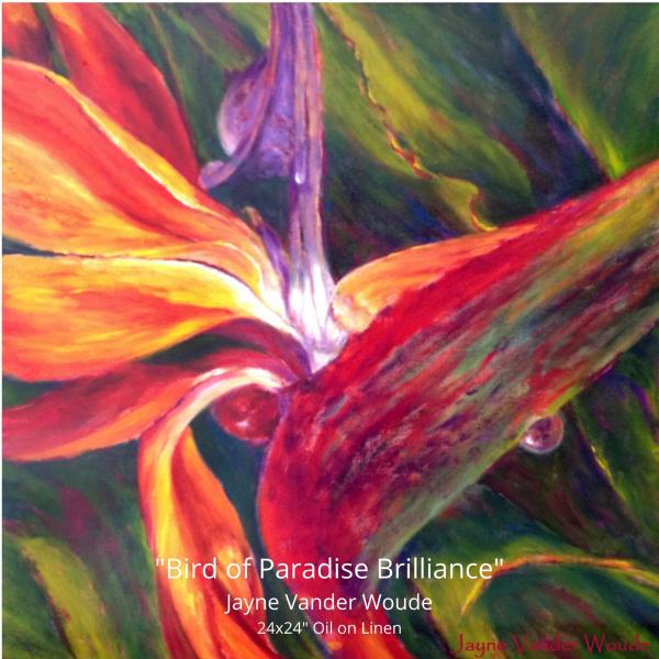 "Bird of Paradise Brilliance" Original 24x24" Oil Painting.  Framed.