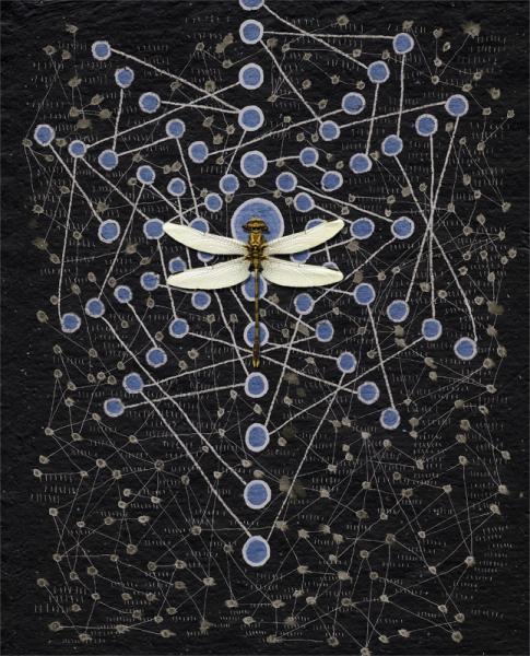 Chakra Web with dragonfly on Blue