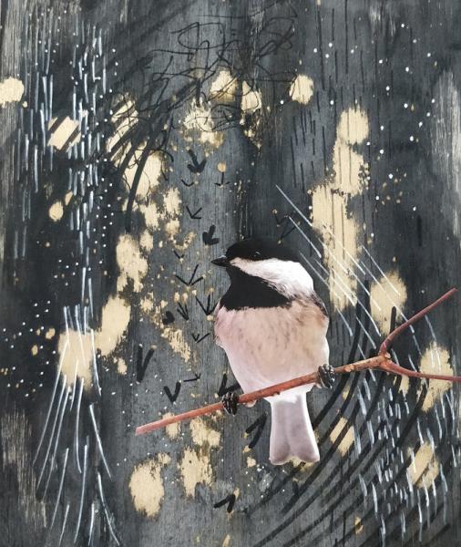 Singing Black-capped Chickadee picture