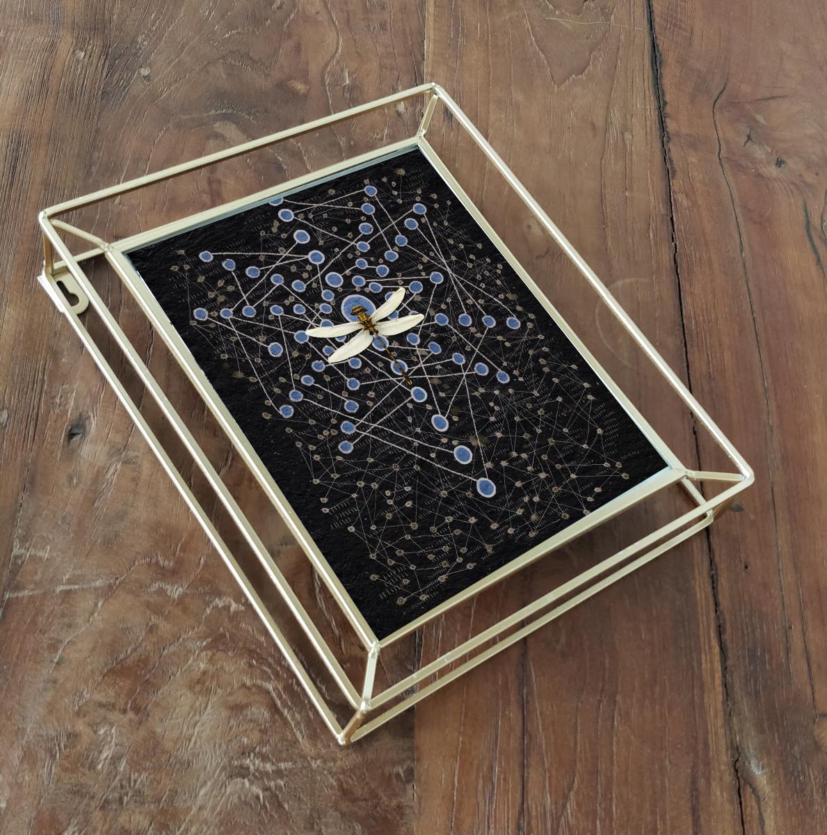 Chakra Web with dragonfly on Blue picture