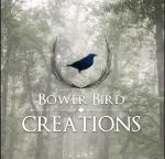 Bower Bird Creations