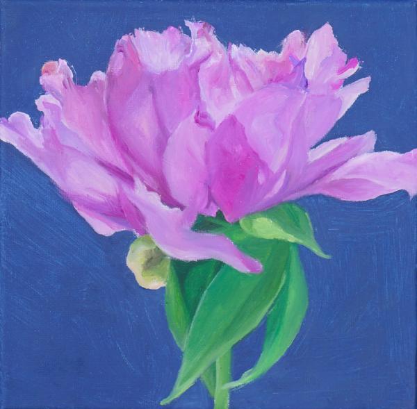 Peony No. 6 picture