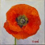 Red Poppy No. 5