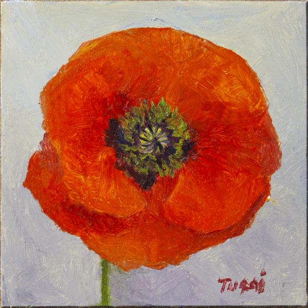 Red Poppy No. 5